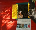 La Boca Window - Nice Girl - Buenos Aires - Mike Hope