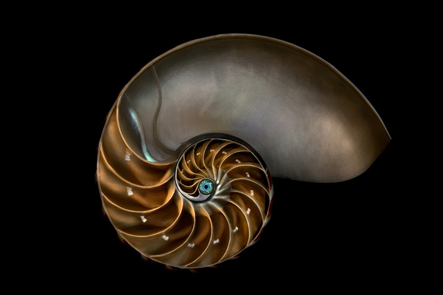 10628850114_ea33981e7e_z