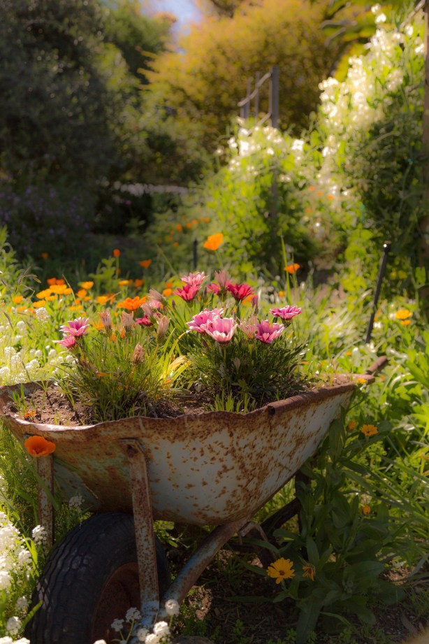 Spring Barrow Mike-Hope