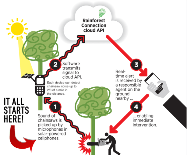 Rainforest Connection - Kickstarter
