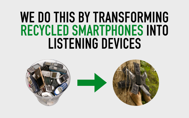 Rainforest Connection