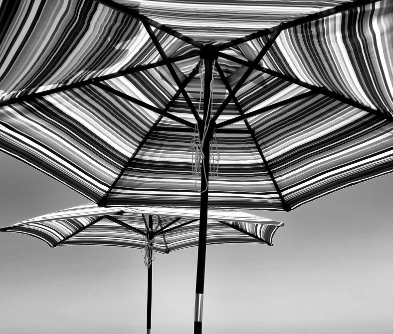 Umbrellas in the Sun