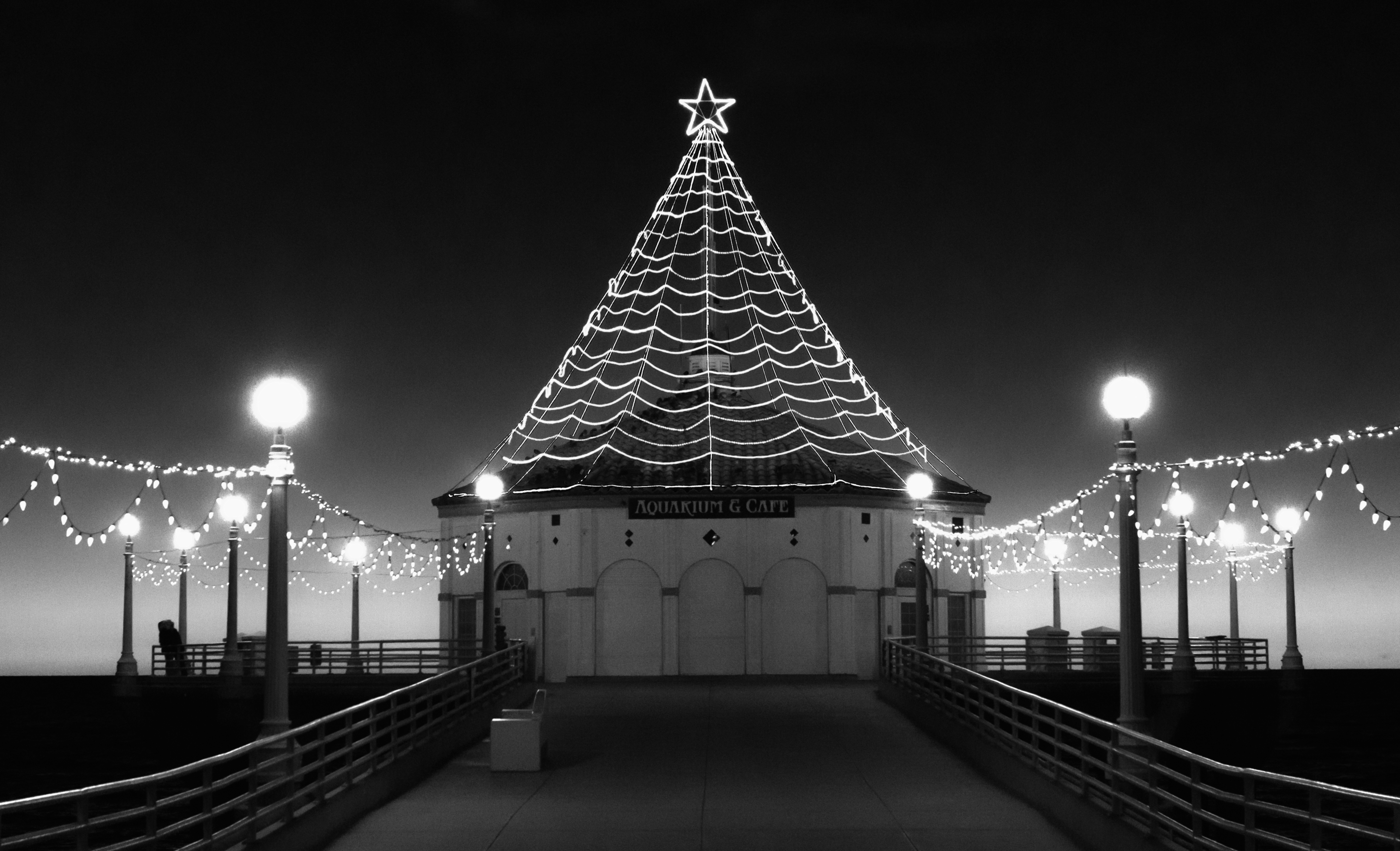 Christmas-Lights-Manhattan-Pier-B&amp;W-by-Mike-Hope