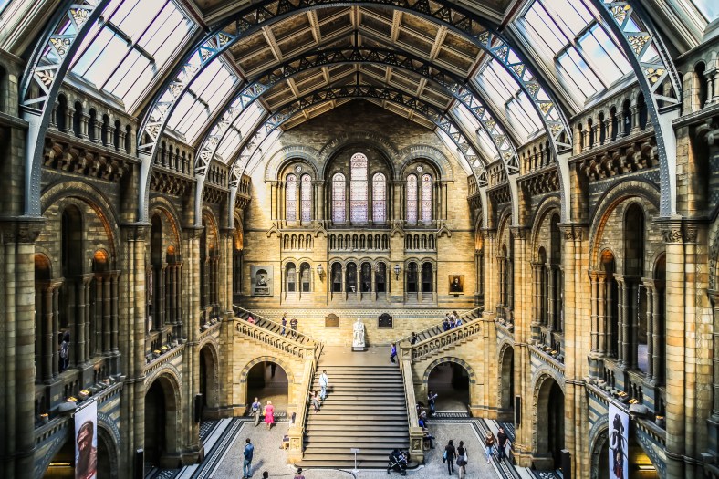 NAT HIST by Mike-Hope