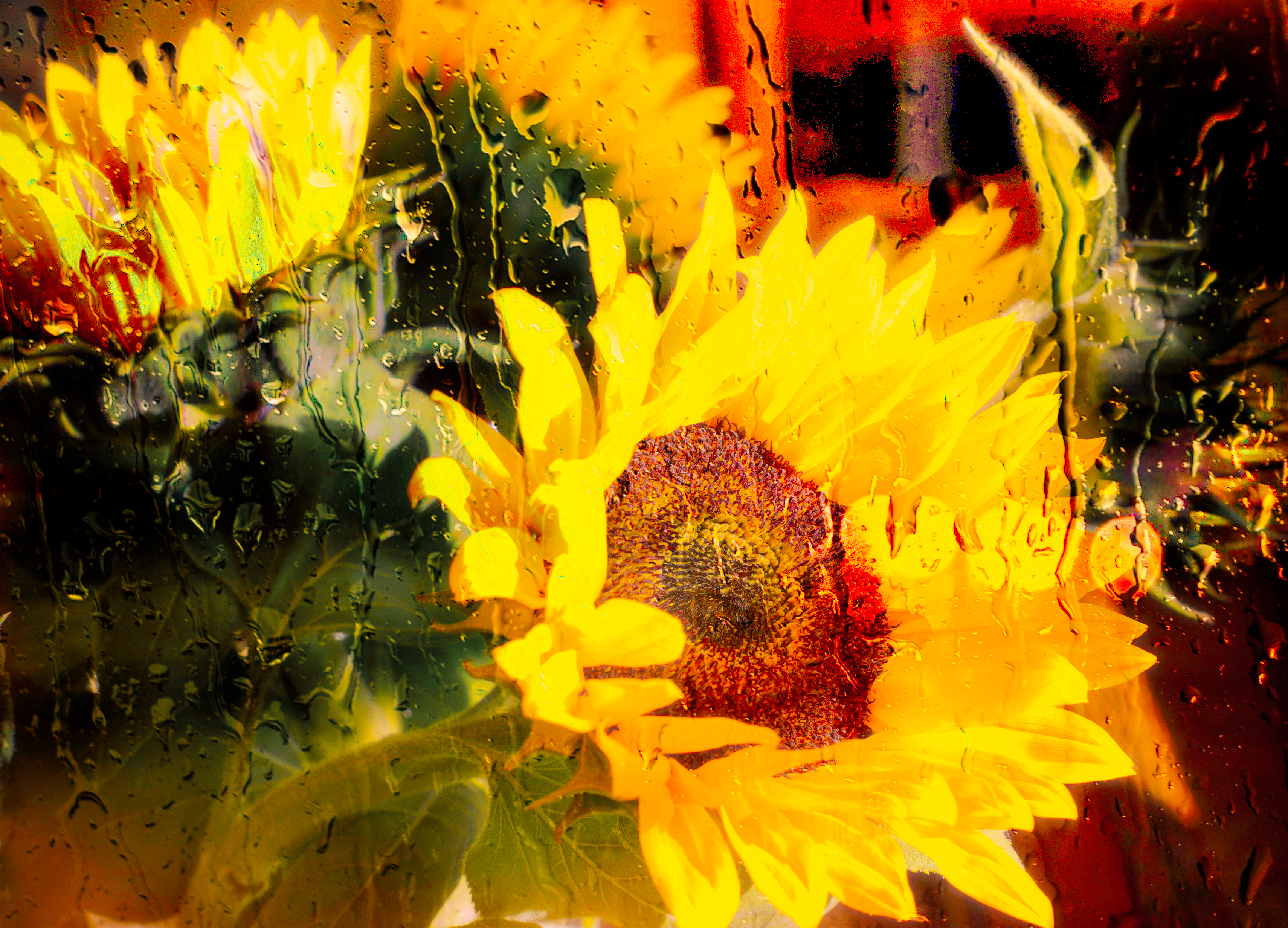 Sunny with Showers  by Mike-Hope